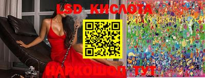 индика Малгобек