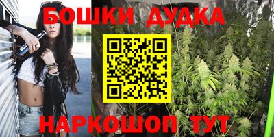 индика Малгобек