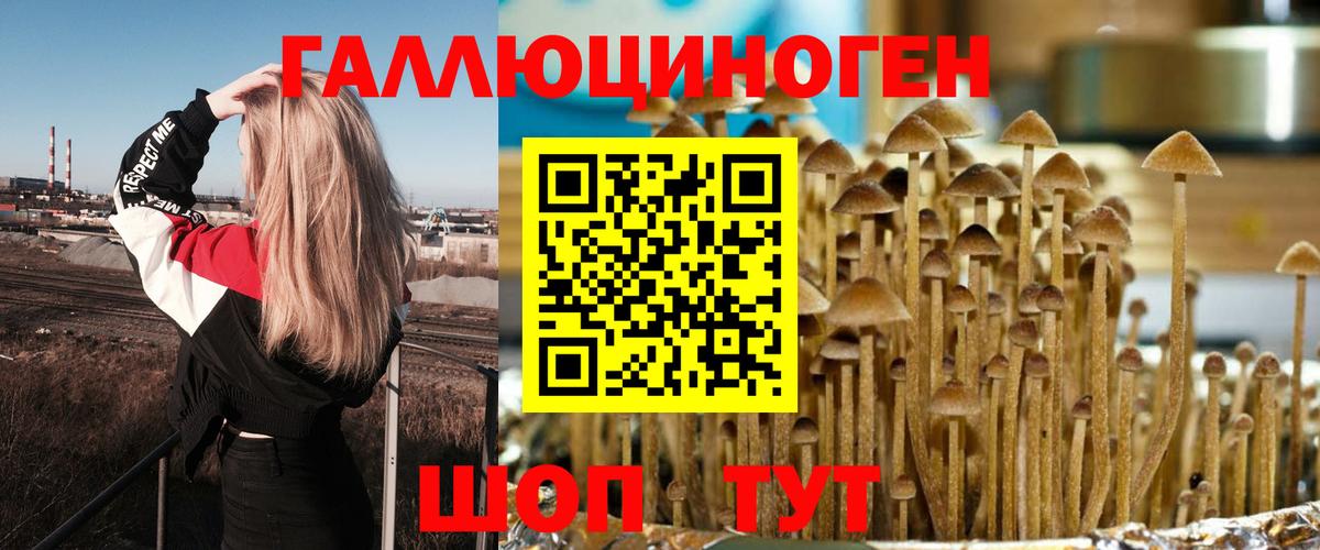Великий Устюг  Псилоцибиновые грибы MAGIC MUSHROOMS  Вход с VPN 